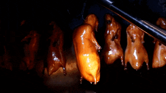 1572246564514444.gif 05.gif